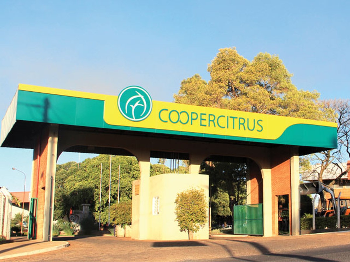 Yara e Coopercitrus estabelecem colaboração para reduzir a emissão de carbono na produção de cacau e café.