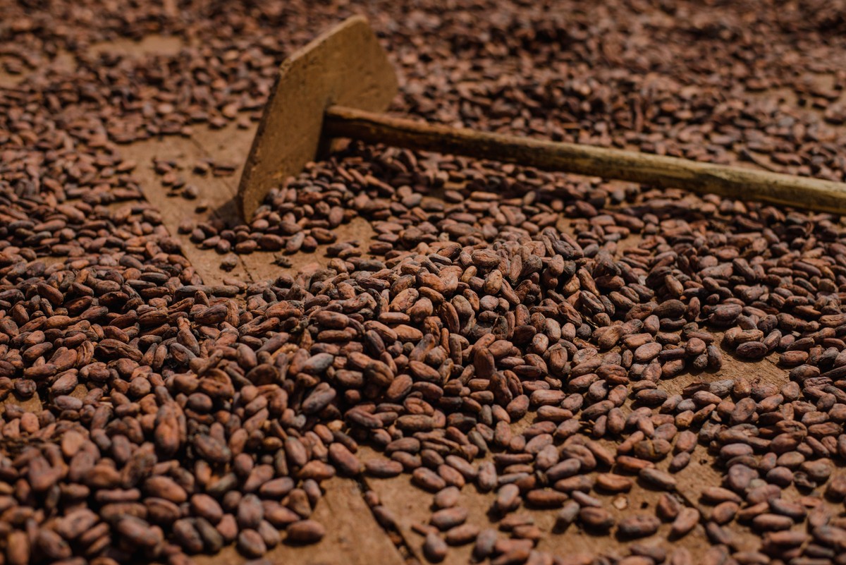 Café e cacau têm alta em Nova York devido a questões climáticas e de abastecimento.