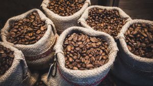 Colheita de Café da Cooxupé Avança para 91,9% da Área