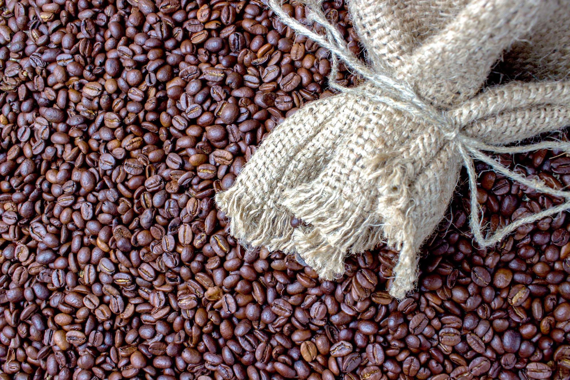 StoneX revisa para cima a estimativa de produção de café do Brasil para a safra 26/27, alcançando 77,2 milhões de sacas.
